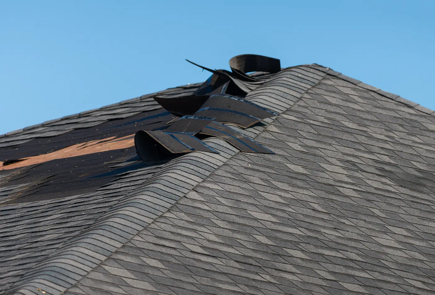 Storm Damage With Curled And Damaged Shingles