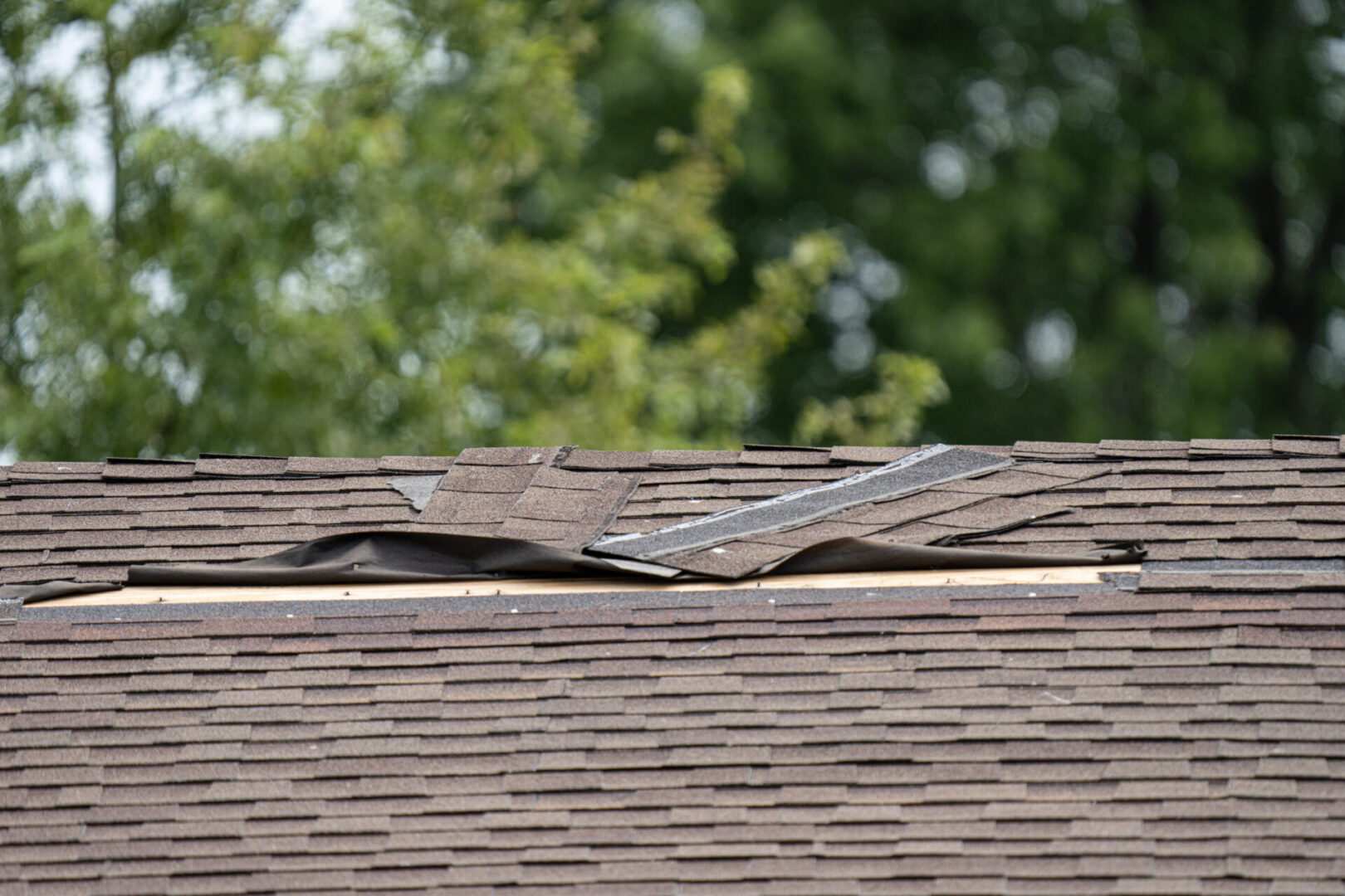 A roof with damaged shingles and roofing hardware on a home