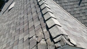 Asphalt roof damage in Orangevale