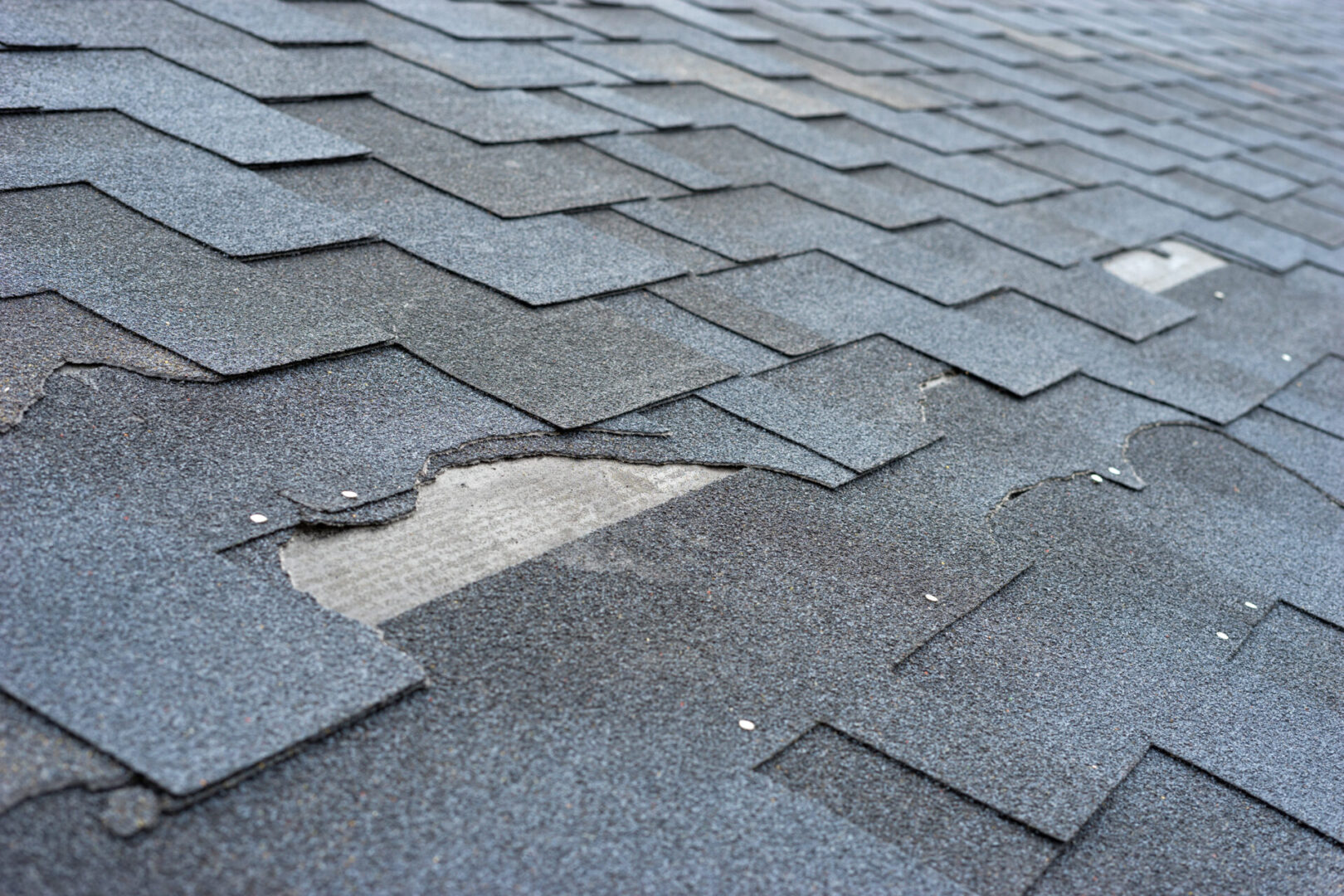 Roof with torn asphalt shingles